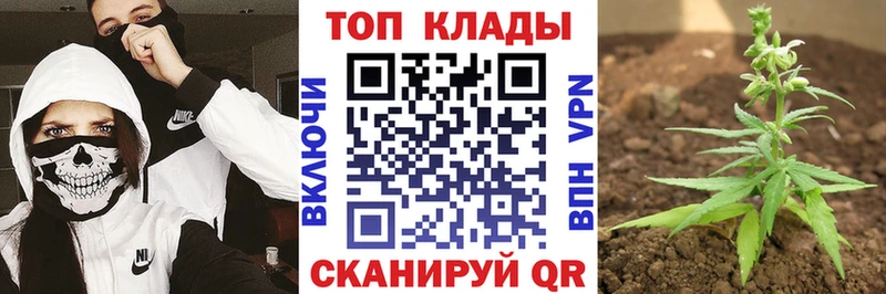 Купить закладку Марихуана  COCAIN  МЕТАМФЕТАМИН  Alpha-PVP  Меф мяу мяу  ГАШ  Лихославль