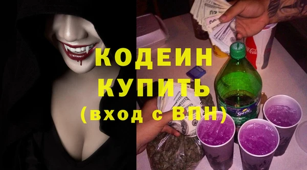 хмурый Инсар