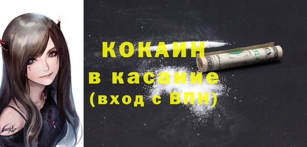 хмурый Инсар