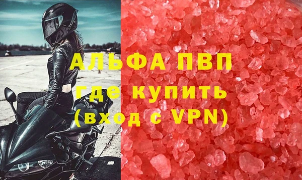 спайс Инта