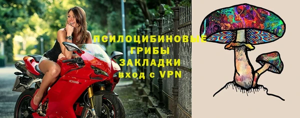 спайс Инта