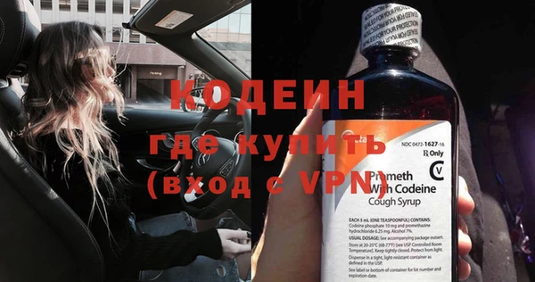 хмурый Инсар